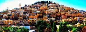 أبناء السلط: لن نسمح لدعاة الفوضى بأن يركبوا موجة حزننا