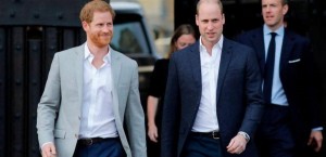 رغم الخصام .. "الأميرة ديانا" تجمع وليام وهاري مجددا