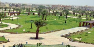 نقابة المهندسين تتواصل لحل مشكلة أردني يبيت في حديقة بالرياض