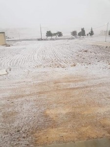 بالفيديو...الامن العام : بداية تساقط الثلوج في محافظات الكرك والطفيلة ولواء الشوبك وراس النقب
