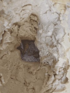 احباط محاولة تهريب (238) كغم من حبوب الكبتاجون