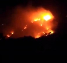 بالفيديو ..اربد: حريق كبير في محمية غابات اليرموك