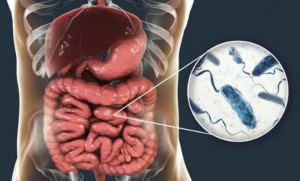الصحة العالمية: انتشار الكوليرا بـ10 محافظات سورية
