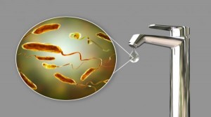 الحكومة: لا مخاوف من انتشار الكوليرا عن طريق المياه