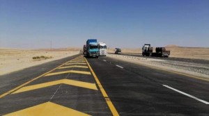 نفوق 70 رأس من الأغنام بحادث تدهور شاحنة على طريق الجنوب