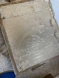 القبض على مهرب مخدرات أخفى 20 ألف حبة في طرد