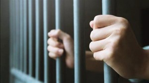 الحبس 6 اشهر لموظف حكومي قبل مالا لشطب مخالفة