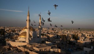 أجواء مشمسة ومعتدلة مع بداية الأسبوع