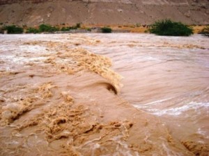 إدارة الأزمات يحذر من تشكل السيول الخميس والجمعة