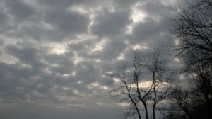 36 قتيلا بفيضانات وانهيارات أرضية في البرازيل