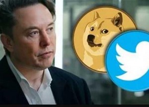 صدمة في تويتر بعد استبدال العصفور الأزرق بكلب!