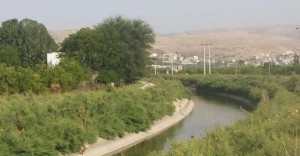 وفاة عشريني غرقا في بركة زراعية بإربد