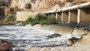 الأمن يثني فتاة عن الانتحار بإلقاء نفسها من أعلى جسر سيل الزرقاء