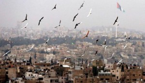الأحد .. انخفاض على درجات الحرارة وأجواء معتدلة في أغلب المناطق