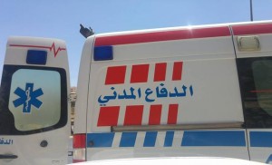 الطفيلة .. وفاة شاب بلدغة افعى سامة