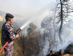 الأمن العام: لا إصابات بالأرواح بحريق غابات بين عجلون وجرش