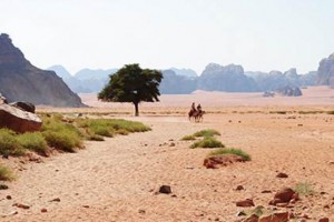 الأرصاد تتحدث عن التغير المناخي بالأردن