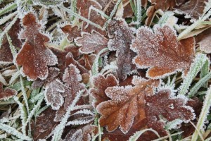 درجات حرارة حول الصفر وصقيع محتمل في الاردن