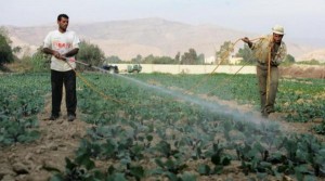 الإقراض الزراعي: بدء إخضاع القروض للتأمين الشهر المقبل