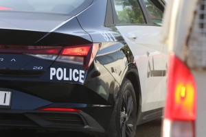 الأمن يحقق بسرقة عجول في منطقة أبان بمحافظة إربد