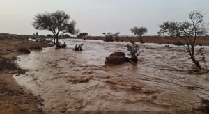 طقس العرب: تحذيرات من السيول بالبادية والغبار الثلاثاء