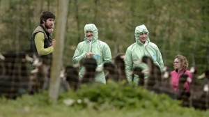 "حمى الببغاء" تنتشر في أوروبا وتقتل 5