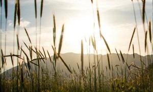 أجواء حارة في معظم المناطق حتى السبت