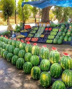 الأمانة: بدء استقبال طلبات تصاريح بيع البطيخ والشمام إلكترونيا