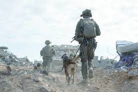 بأسلحة خفيفة ومن المسافة صفر.. القسام تعلن قتل 3 جنود إسرائيليين في غزة