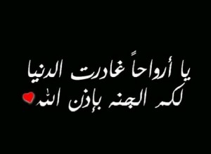 نهار ابو جاموس يرثي والدته بكلمات مؤثرة