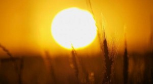 الجمعة .. أجواء صيفية عادية في أغلب المناطق