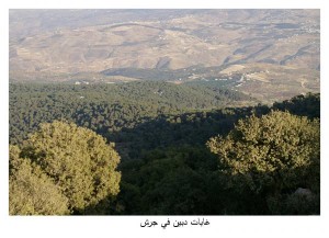 انخفاض ملموس على الحرارة والضباب يغطي بعض المناطق فجراً