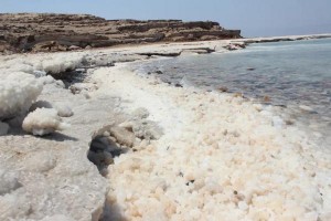 وزير البيئة: ضرورة دعم دراسات أسباب انخفاض منسوب البحر الميت