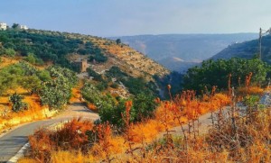 الأربعاء .. طقس لطيف ومعتدل .. ورياح مثيرة للغبار أحياناً