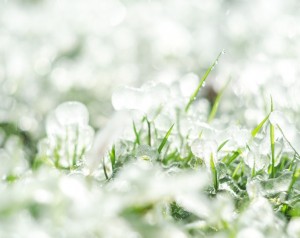 الأرصاد الجوية تحذر من انخفاض درجات الحرارة خلال ساعات الليل المتأخرة وفجر السبت