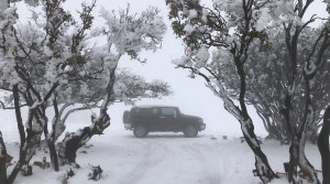 ثلوج فوق مرتفعات الجنوب الخميس