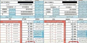 الخرابشة: تعرفة فاتورة الكهرباء لشهر آذار ستبقى كما هي