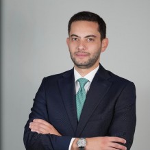 الأردن وسوريا: وحدة المصير وتحديات الجغرافيا  المحامي فيصل اللوزي