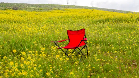 طقس لطيف الثلاثاء مع بدء سلسلة ارتفاعات على درجات الحرارة