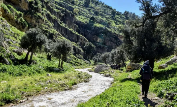 أجواء دافئة بوجه عام .. وارتفاع قليل على الحرارة السبت