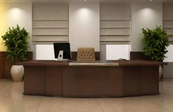 ما هي مهام مدير البلدية في مشروع قانون الإدارة المحلية الجديد؟