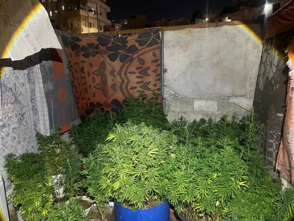 القبض على تجار ومهربين بينهم مصنف خطر .. وضبط كوكايين وماريجوانا و150 ألف حبة مخدرة