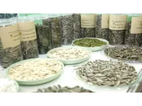 طبيب يحذر من تناول البذور بقشورها